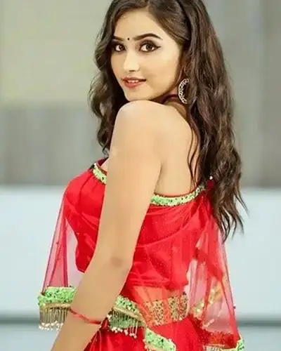 Call Girls Service Ottappalam